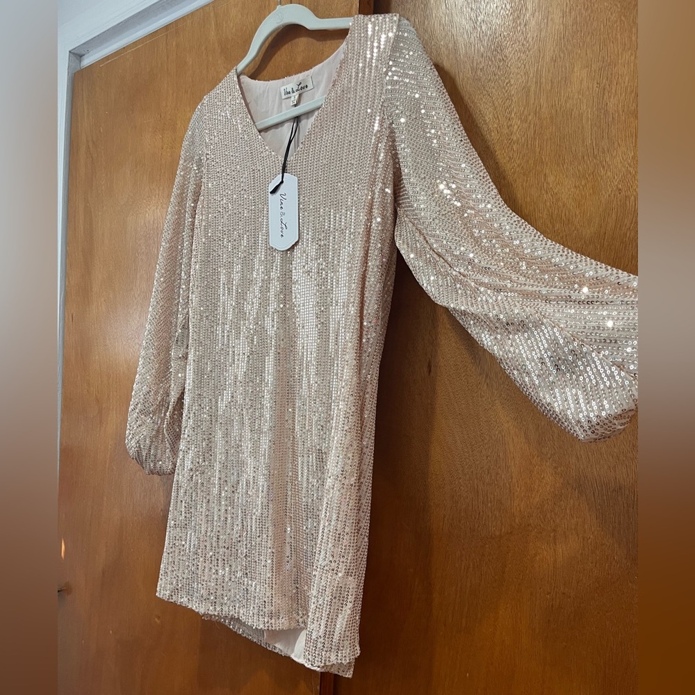 NWT Vine & Love Sparkling Sequin Dress - Rose Gold / Champagne - Picture 3 of 6